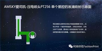 爱司凯最新爆料 第2张 爱司凯最新爆料 第2张